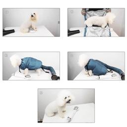 Cão de estimação secador profissional portátil rápido fácil soprador ferramenta de baixo nível de ruído pet cabelo do cão gato secador de banho saco de secagem suprimentos do cão - Image 5