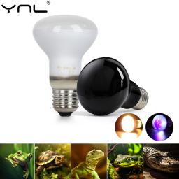Lâmpadas para Répteis com Controlador de Temperatura, Lâmpadas UVA, Aquecedor de Tartarugas, Anfíbios, Lagartos, Pet, 220V, 75W - Image 1