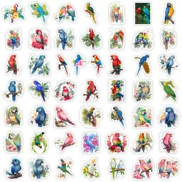 Aquarela Parrot Adesivos Colorido Pássaro DIY para Laptop Skate Bagagem Cup Bicicleta Motocicleta Telefone PVC Impermeável Criança Brinquedos - Image 4