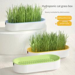 Catgrass hidropônico para planta verde interior, sementes de trigo para gatinhos, lanche de gato, pote claro, pronto para comer, pet snacks - Image 2