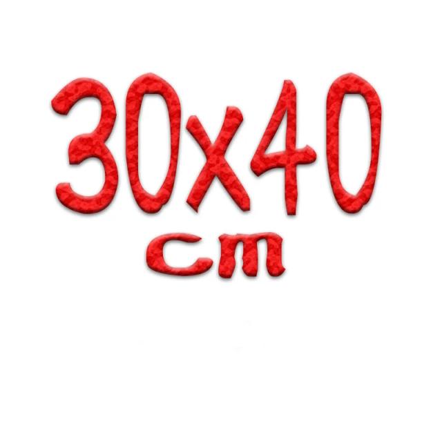 Pintura a Óleo Personalizada por Numbers Kit - Arte Decorativa em Tintas a Óleo 50x70 cm