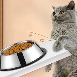 Aço inoxidável pet alimentação tigela, gato e cachorro beber tigela, alimentador de metal durável, fácil de limpar, pet fornecimentos - Image 2