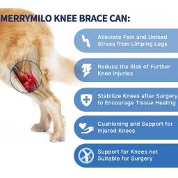 Joelheira Do Cão Para Suporte Com Lesão Do Ligamento Cruzado, Dor Articular E Dor Muscular, Melhor Recuperação Com Cinta De Joelho ACL Do Cão - Image 3