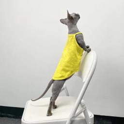 Multicolor Sphynx Pet Clothes para gatos, Roupas de gatinhos de algodão, Gatos sem pêlos Camisola, Soft Devon Rex Vestuário, Colete de gatinho - Image 4