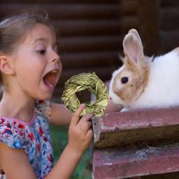 Brinquedos naturais da mastigação do coelho da grama | brinquedos da atividade para animais pequenos | tratamento do cuidado dos dentes de molar para o rato do hamster do porco dos coelhos - Image 3