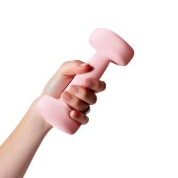 2 pçs haltere equipamentos de fitness estável durável haltere 0.5kg peso treinamento musculação em casa para mulheres equipamentos fitness - Image 6