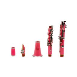 SLADE-Clarinete Portátil com 6 Anéis, Instrumentos Profissionais de Sopros, Clarinetto Rosa, Bb, 17 Chaves - Image 3