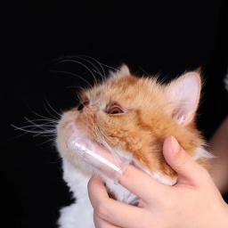 Escova de dentes super macia para animais de estimação, Escova de dedo para todos os animais, Cuidado bucal para gato - Image 4
