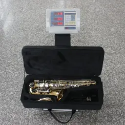 SLADE-Saxofone Alto com Case, Profissional Sax Eb, E Corpo Latão Plano, Instrumento de Sopros, Reed, Sax Peças e Acessórios - Image 6