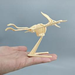 Dinossauro jurássico fóssil esqueleto, montagem DIY, figura de ação Mosasaurus Tyrannosaurus, modelo criativo coleção, brinquedo do miúdo - Image 5