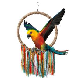 Animais de estimação pássaro papagaio brinquedo corda de algodão círculo brinquedos mastigando mordida papagaio poleiro pendurado gaiola balanço corda anel suporte de escalada brinquedo pássaro suprimentos - Image 2