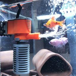 Mini aquário peixe esponja filtro, oxigênio, bomba de ar silenciosa, filtro para todos os pequenos peixes tanque, 3 em 1, 3W, 5W - Image 3