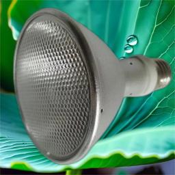 A lâmpada de iodetos metálicos UVB para répteis cresce e planta, 35W, 50W, 70W, 150W - Image 3