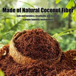 Tijolo De Coco De Coco De Réptil, Substrato Cocofiber para Réptil, Coco Coco, Cama Brickscoacher - Image 3