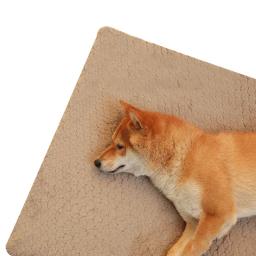 Tapete impermeável para cachorro grande, almofada resistente ao desgaste, cama da casa, acessórios de estofamento, tapete do sofá, cães médios e grandes - Image 3