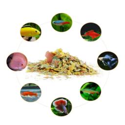 Flocos altos-nutritivos do crescimento dos peixes tropicais, coloração do alimento dos peixes e alimentação do brilho - Image 2