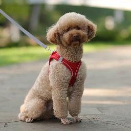 Colete e trela de malha para cães pequenos, filhote ajustável e cinto de gato, pulseira ao ar livre, suprimentos para animais, verão - Image 4