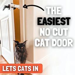Moldura retrátil de plástico portátil para animais de estimação Rolha de porta, Manter gatos fora da porta - Image 3