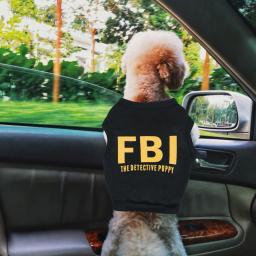 Cão t camisa do cão de algodão camiseta do cão do fbi camisa masculina animal estimação roupas gato colete de segurança tamanho preto s a l - Image 3