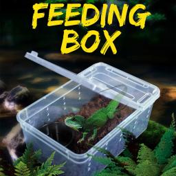 Pequeno animal de estimação répteis caixa de vida répteis habitat escorpião lagarto caso de reprodução recipiente de incubação caixa de criação ferramenta de alimentação animal - Image 3
