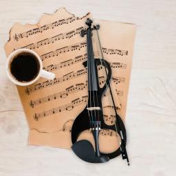 Conjunto de violino elétrico para adultos, instrumentos de cordas, instrumentos musicais, violino com estojo rígido, violino, tamanho 4/4 - Image 5