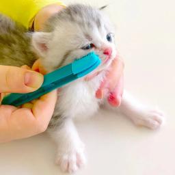 Eco-friendly gatinho olho esfregar handheld olho de gato esfregar olhos poo escova de limpeza fivela reutilizável design pet pente lágrima mancha escova - Image 3