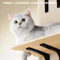 MEWOOFUN Fácil Montagem Pet Escalada Frame, Cama Pendurada, Torre De Árvore, Brinquedos Do Gato, Pet Fornecedor, Estoque EUA - Image 5