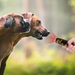 Dispositivo de controle anti-latido para cães, dissuasão de latidos para cães, comportamento animal, ferramenta de treinamento para cães pequenos e médios - Image 5