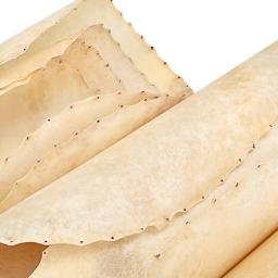 Acessórios De Pele De Tambor Africano, Substituições De Parte De Percussão, Capas De Bongo, Pele De Cabra, Bege, 30cm, 35cm - Image 1