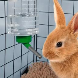 Garrafa de água suspensa para pequenos animais, bebedor de cores aleatórias, bebida automática, coelhos, cobaia, alimentador de papagaios, 1000ml - Image 1
