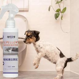 Potty Training Spray para cães, prevenir cães, morder, planta natural, efeito de afeto, gatos, filhotes, gatinhos - Image 3