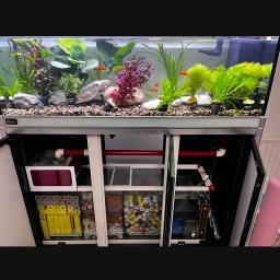 Nano Aquarium Casa Bioquímica, Fish Tank Acessórios, Sistema de Tratamento de Água Raw, nitrificantes bactérias, filtração Medias, 1-5PCs - Image 6