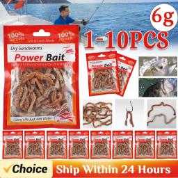 Natural Dry Sandworms Fishing Lure, isca de água salgada, poder de água doce, alimentador de carpa do mar, isca acessórios, todos, 1-10pcs - Image 1