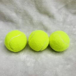 3 pçs de alta elasticidade tênis profissional treinamento bola jogo ao ar livre cães mordida perseguição e chomp 63mm bola tênis raquete - Image 1