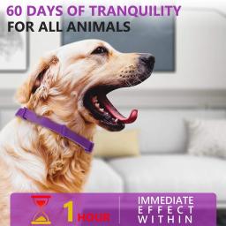 Alça de pescoço calmante ajustável para pet, coleira calma para gato e cachorro, aliviar a ansiedade, remover o restiness, suprimentos de proteção, 1pc - Image 2