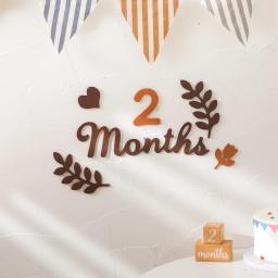 Feltro Prop Fotografia para recém-nascidos, Adereços Fotografia para o bebê, Tiro Prop, Decoração do quarto, Milestone Acessórios, 0-12 meses - Image 2