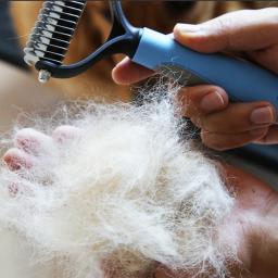 Cão de estimação gato depilação pente desmancha aparador de depilação escova grooming ferramenta para cabelo longo encaracolado cão de estimação produtos - Image 5