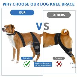 Almofadas de Proteção Ajustável para Animais De Estimação, Leg Brace, Joelho Wrap, Suportes para Cães, Correias de Apoio, Acessórios para Cães - Image 1