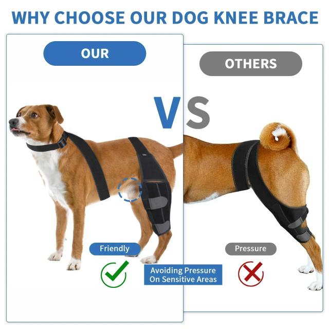Almofadas Ajustáveis de Proteção para Cães: Suporte para Joelhos, Braços e Acessórios Essenciais para Animais de Estimação