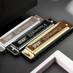 Boca Órgão Judeu's Harp Harmonica com Case Puzzles para Crianças, Instrumento Musical Profissional, C Tone, Blues, Boca, 10 Buracos - Image 6