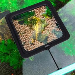 Alimentador De Tanques De Peixes Suprimentos De Alimentação De Peixes Círculo De Flutuabilidade De Plástico Com Ventosa Para Tanques De Peixes Aquário Reduzir O Desperdício De Alimentos De Peixes - Image 6