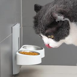 Tigela Dupla De Parede Para Animais De Estimação, Aço Inoxidável Alto, Dispensador De Água De Gato, Alimentador De Cães, Altura Ajustável, Bacia De Alimentos De Gato - Image 1