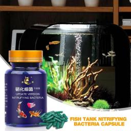 Purificador De Água De Tanques De Peixes Condicionador De Nitrificação De Água Doce Estabilizador De Purificação Degradação Rápida De Água Para Tanques De Peixes - Image 5