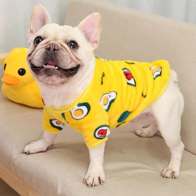 Roupas de lã para cães e gatos pequenos: moletons macios e jaquetas aconchegantes para todas as estações