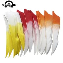 ONTFIHS-Turquia Natural penas para Archery Hunting, Sting Arrow, Fletching, Acessórios DIY, RW, 4 Polegada, 12pcs - Image 2