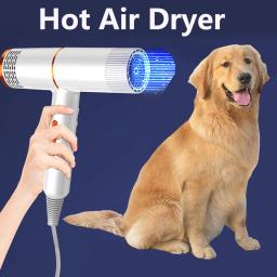Cão grooming secador de cabelo pet gato ventilador vento quente 1000w ue plug frio ar quente com aquecedor para médio pequeno filhote de cachorro - Image 1