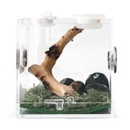Caixa De Reprodução De Répteis Terrário Caixa De Reprodução De Répteis De Plástico Gaiola De Terrário Caixa De Visualização De Insetos Para Grilo Aranha Besouro Caracol - Image 1