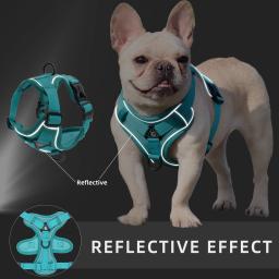 Conjunto de arnês e trela para cães de estimação, cães pequenos e médios, colete reflexivo ao ar livre de gatos, colete sólido ajustável para cachorros - Image 5