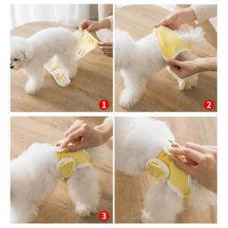 Fraldas para cães laváveis, calça fisiológica pet, shorts femininos de cachorro, roupas íntimas femininas, calcinhas de cachorro, roupas de gato, 2024 - Image 5