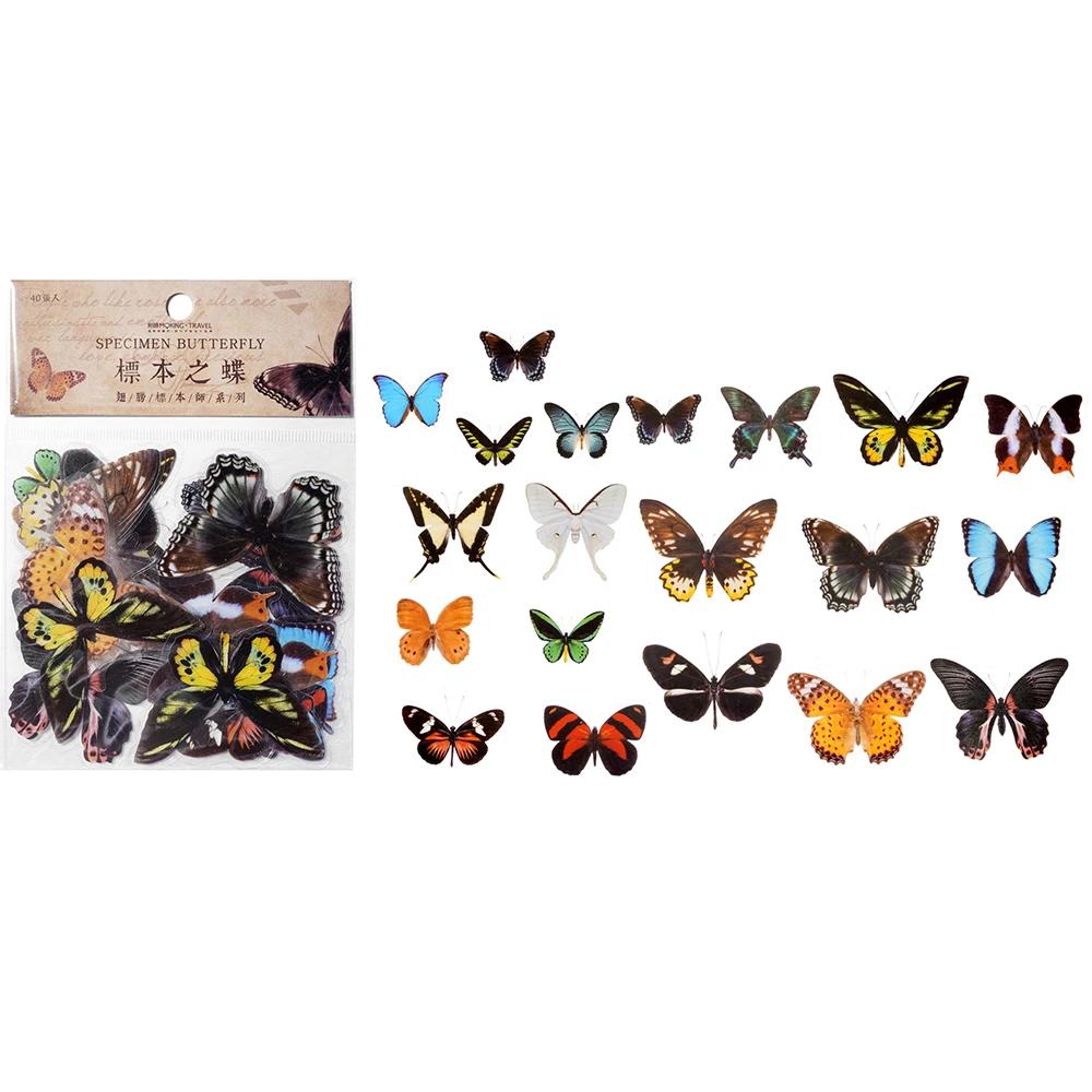 Transparente borboleta adesivos, asas decorativas, resina epóxi enchimento, artesanato DIY, livro, decoração de casa, 40pcs por saco - Image 1